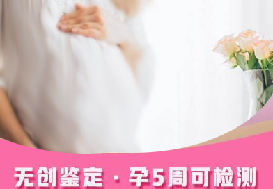 甘孜怀孕如何办理亲子鉴定,甘孜产前办理亲子鉴定办理流程