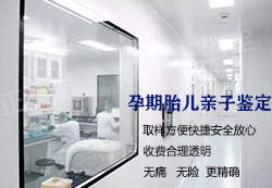 甘孜怀孕如何办理亲子鉴定，甘孜产前办理亲子鉴定办理流程