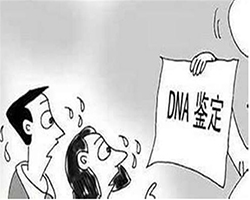 甘孜上学亲子鉴定中心去哪里